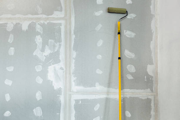 Best Post-Construction Mold Inspection  in Hudson Bend, TX